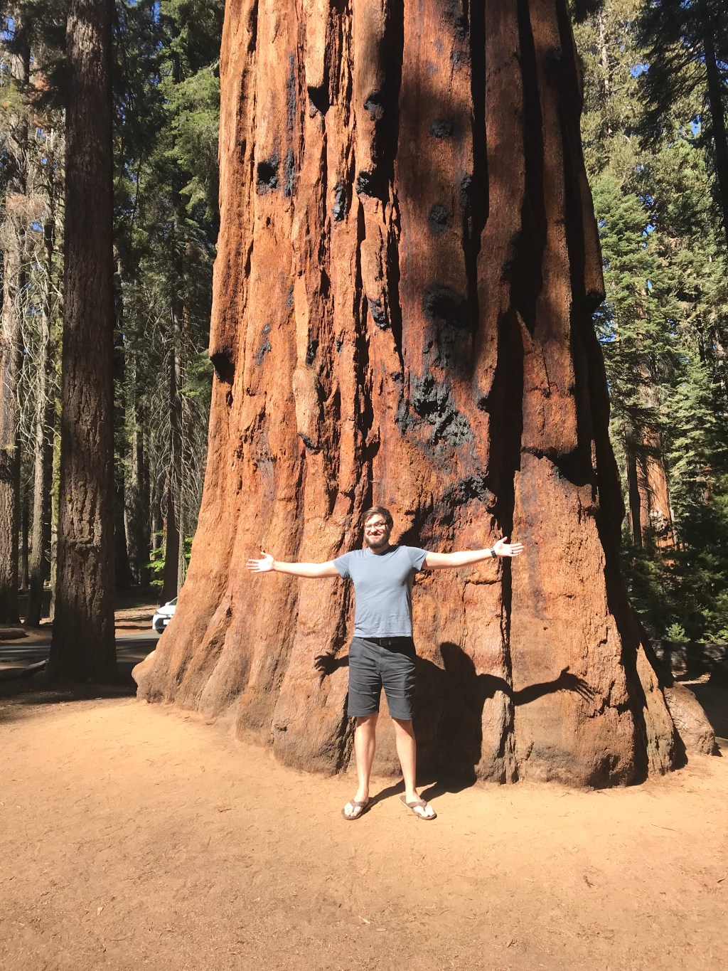 Well That’s Peaceful