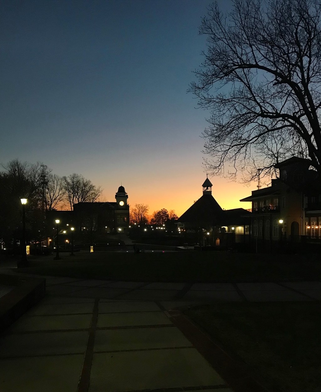 Night on the&nbsp;Town