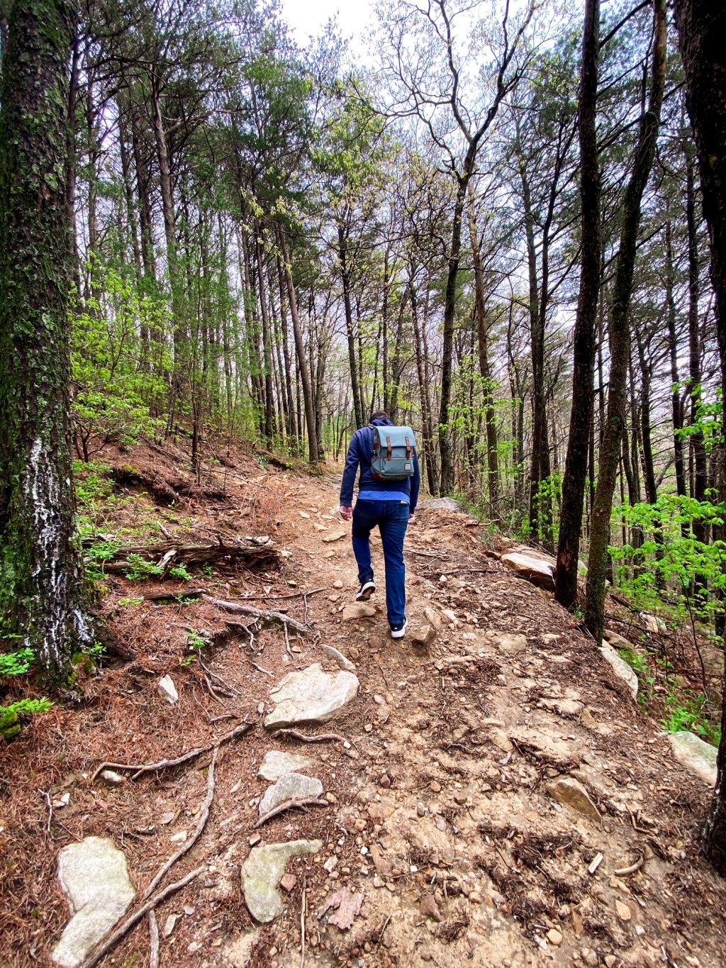 Taking the Long Way ‘Round